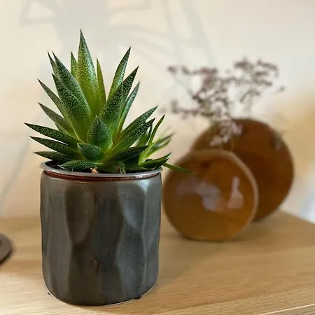 Carre Or Estrasburgo