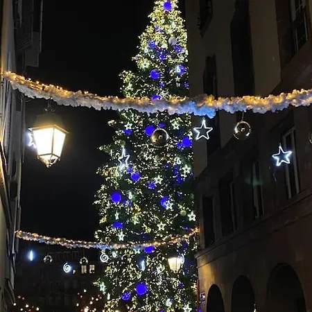 Apartamento Carre Or